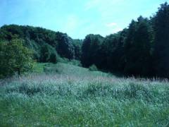  Lesné pozemky vrátane zastavaných ploch a nádvorí, Látky - Málinec